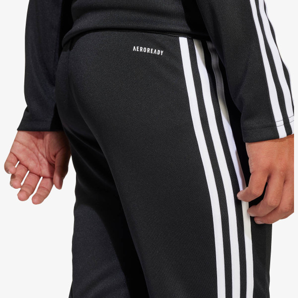 adidas SQ25 TR PNT Y 