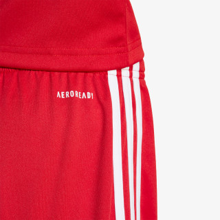 adidas SQUA25 SHO Y 