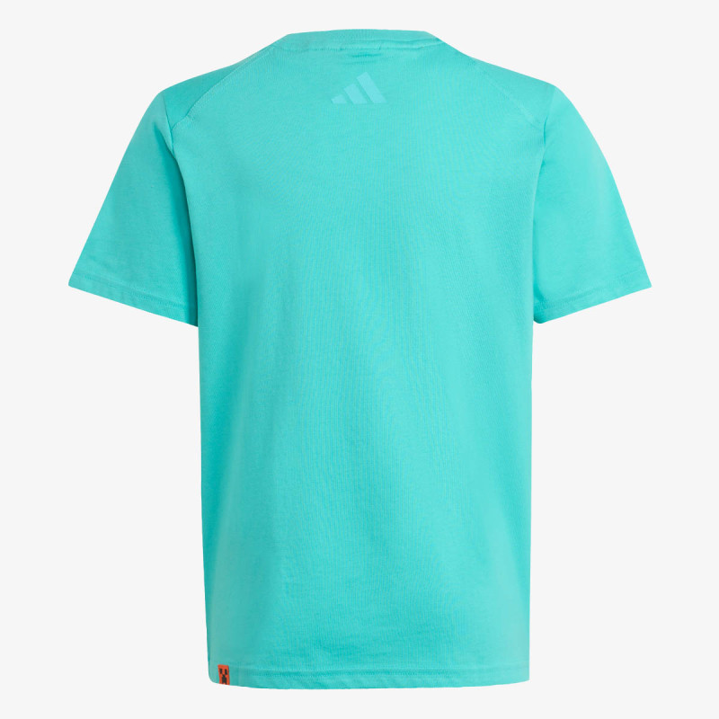 adidas Minecraft Terrex 