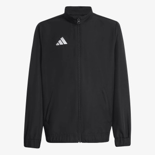 adidas ENT26 TK JKTY 
