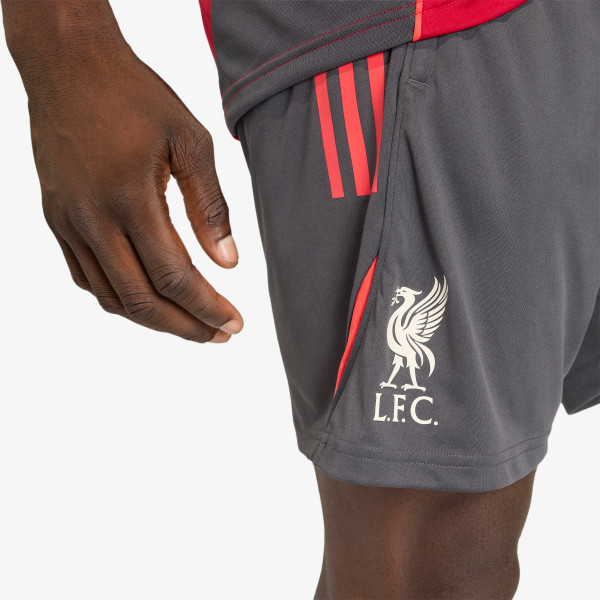 adidas LFC TR SHO 