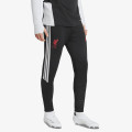 adidas LFC TR PNT 