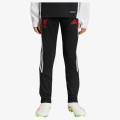 adidas LFC TR PNTY 