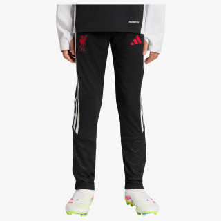 adidas LFC TR PNTY 