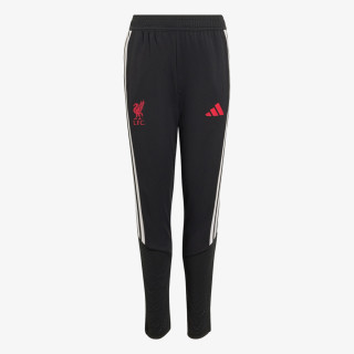 adidas LFC TR PNTY 