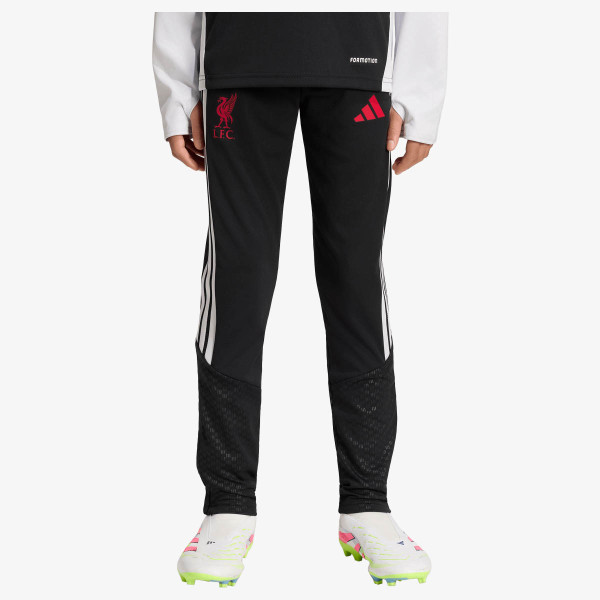 adidas LFC TR PNTY 