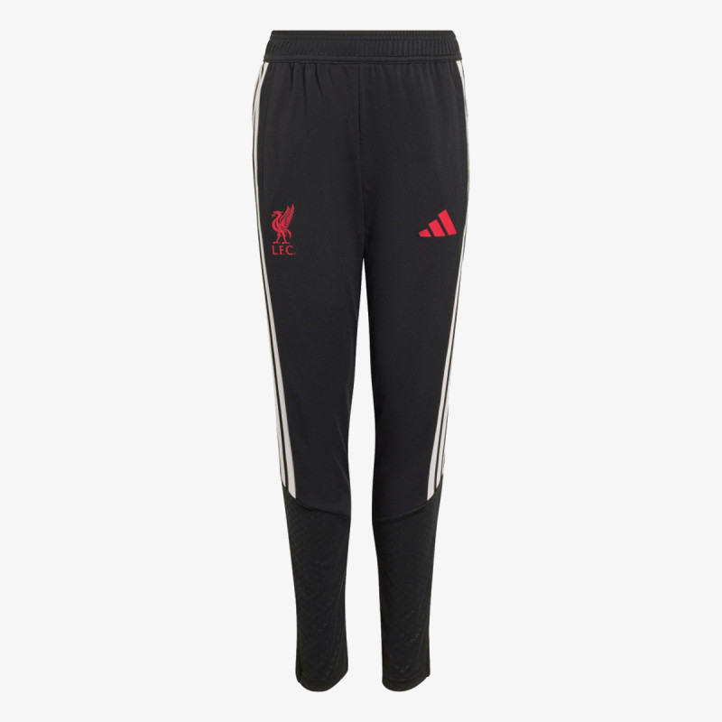 adidas LFC TR PNTY 