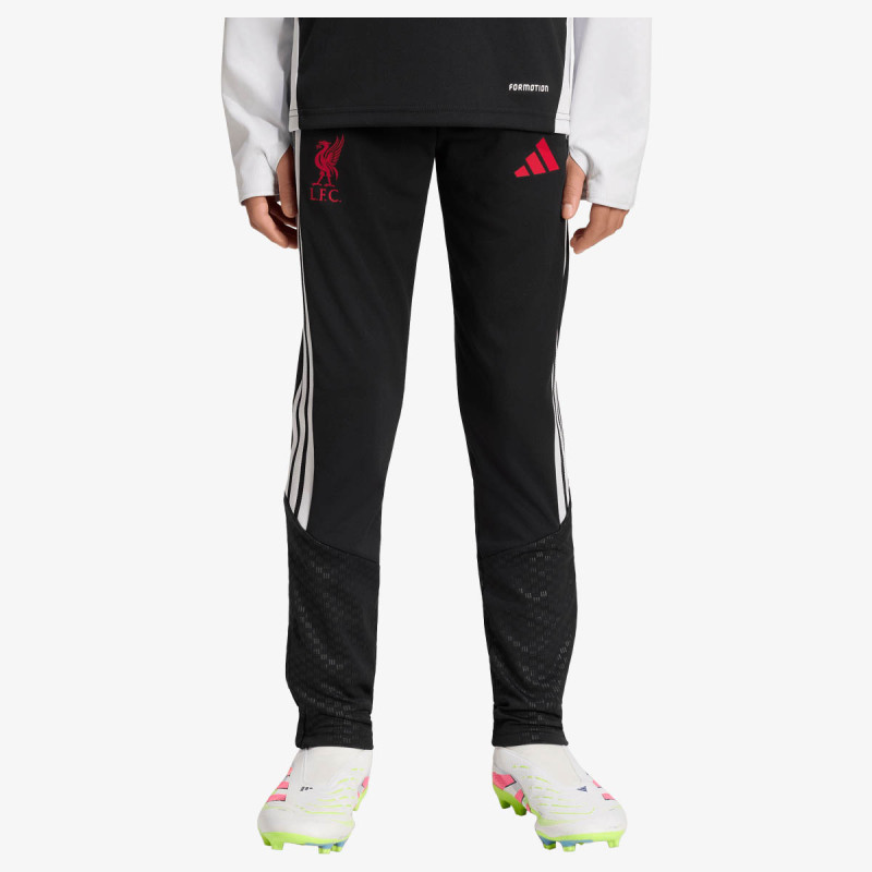 adidas LFC TR PNTY 