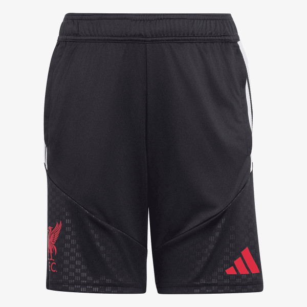 adidas LFC TR SHOY 