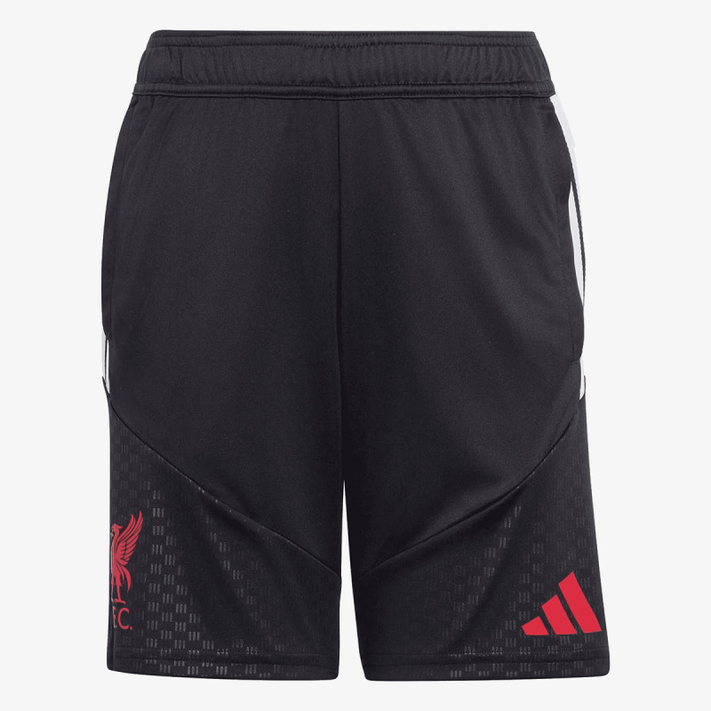 adidas LFC TR SHOY 