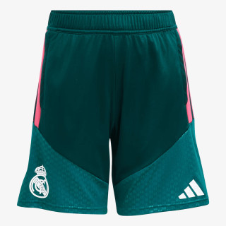 adidas REAL TR SHOY 