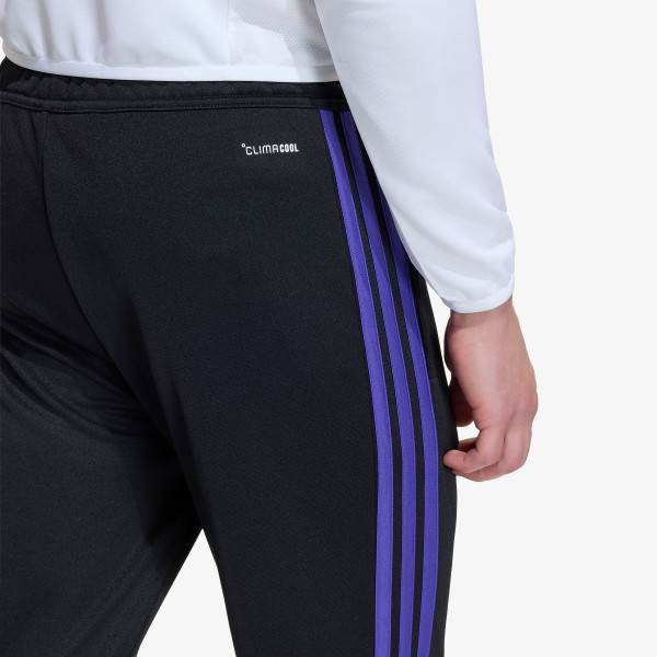 adidas TIRO26L  TRPNTS 