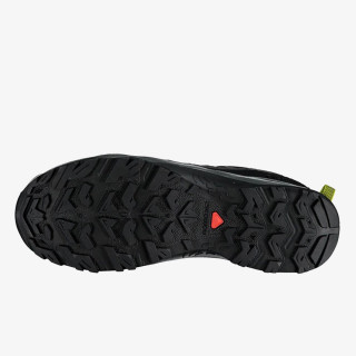 Salomon C/O EOS GTX 