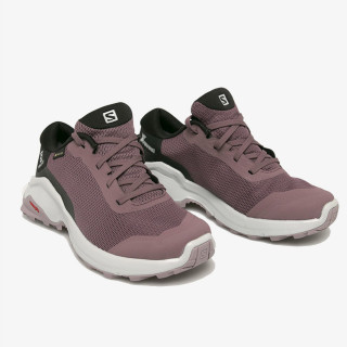 Salomon X REVEAL GTX W 