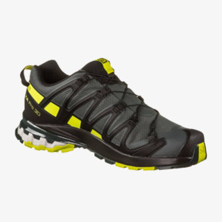 Salomon XA PRO 3D v8 GTX 
