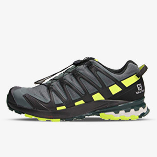 Salomon XA PRO 3D v8 GTX 
