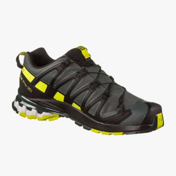 Salomon XA PRO 3D v8 GTX 