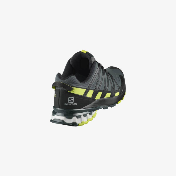 Salomon XA PRO 3D v8 GTX 