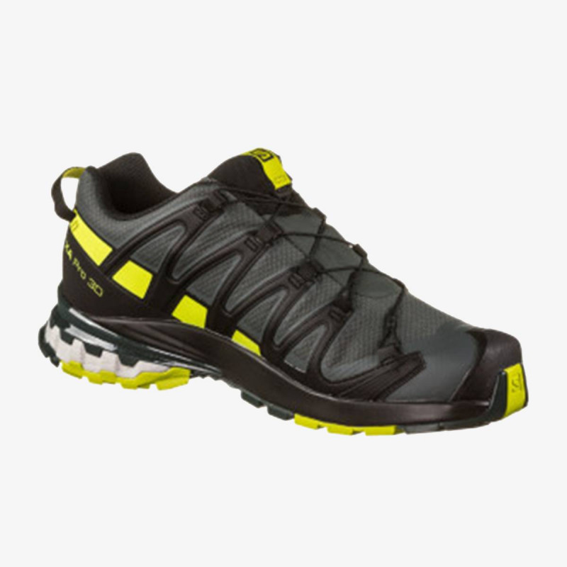 Salomon XA PRO 3D v8 GTX 