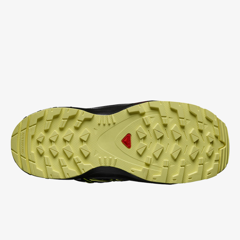 Salomon XA PRO 3D 