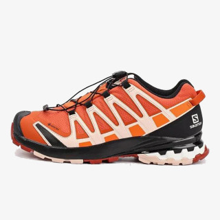 Salomon XA PRO 3D v8 GTX W 