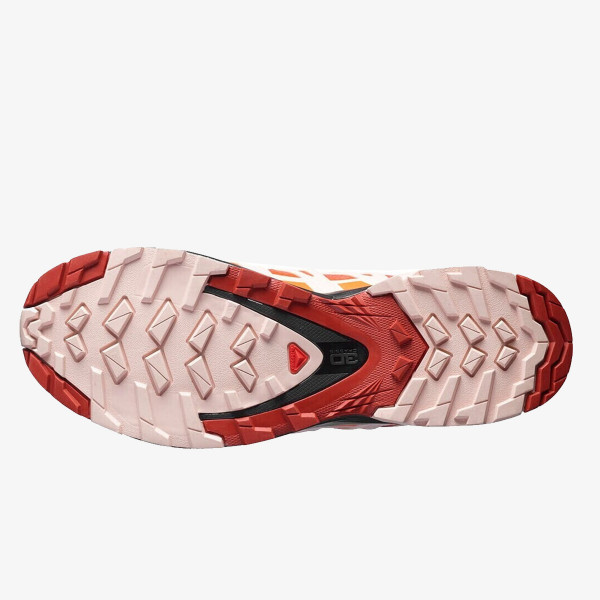 Salomon XA PRO 3D v8 GTX W 