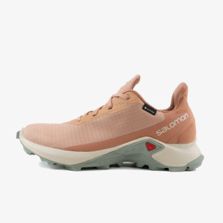 Salomon ALPHACROSS 3 GTX 