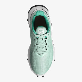 Salomon ALPHACROSS BLAST 