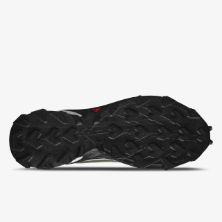 SALOMON ALPHACROSS 4 GTX 