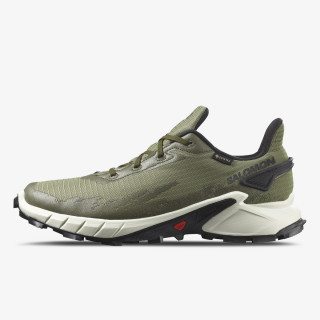 SALOMON ALPHACROSS 4 GTX 