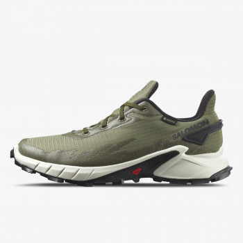 Salomon ALPHACROSS 4 GTX 