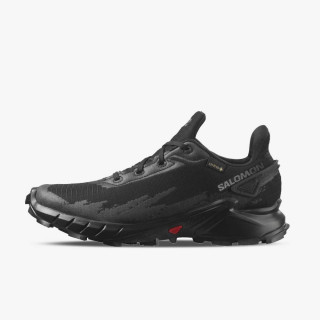 SALOMON ALPHACROSS 4 GTX W Bk 