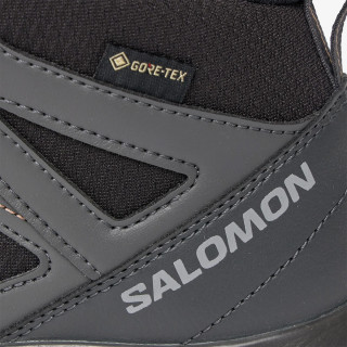 SALOMON X BRAZE MID GTX W 