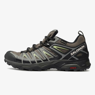 Salomon X ULTRA PIONEER GTX 