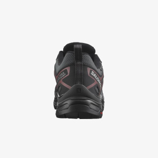 SALOMON X ULTRA PIONEER GTX W 
