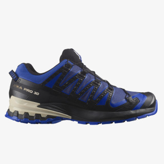 Salomon XA PRO 3D V9 GTX 