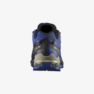 Salomon XA PRO 3D V9 GTX 