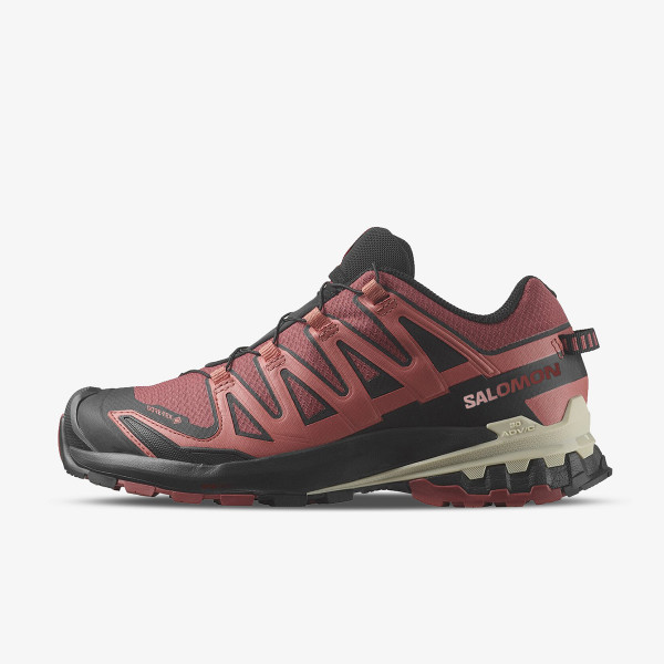 Salomon XA Pro 3D V9 GTX 