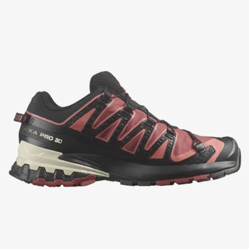 Salomon XA Pro 3D V9 GTX 