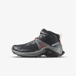 Salomon X Raise Mid GTX 