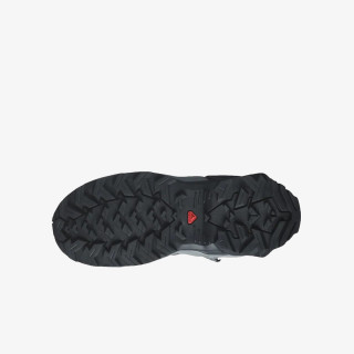 Salomon X Raise Mid GTX 
