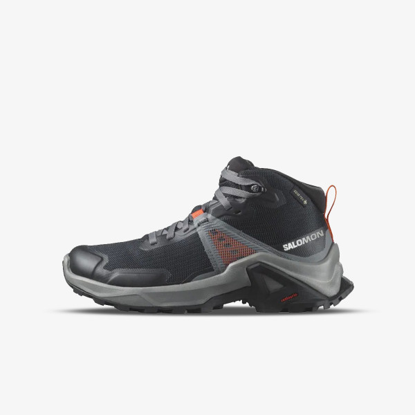 Salomon X Raise Mid GTX 