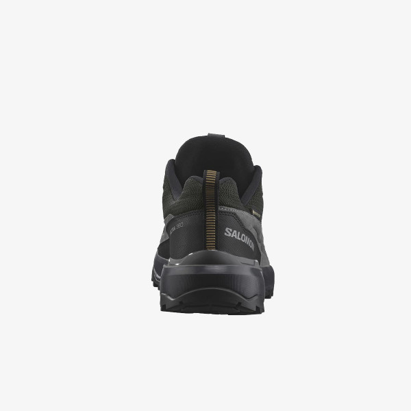 Salomon X Ultra 360 LTR GTX 
