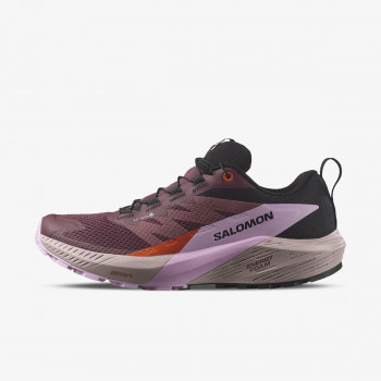 Salomon Sense Ride 5 GTX 