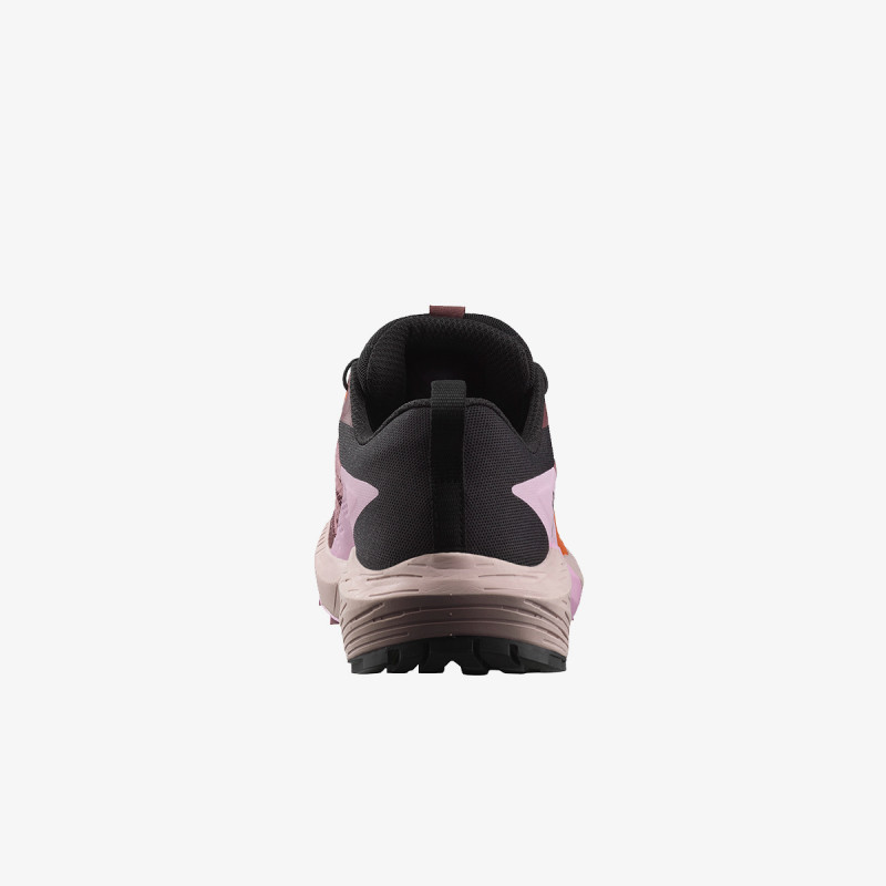 Salomon Sense Ride 5 GTX 