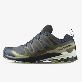Salomon XA PRO 3D V9 GTX 
