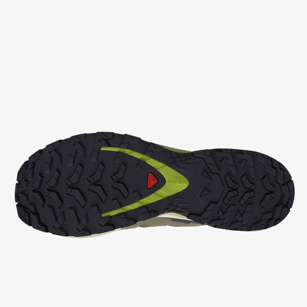 Salomon XA PRO 3D V9 GTX 
