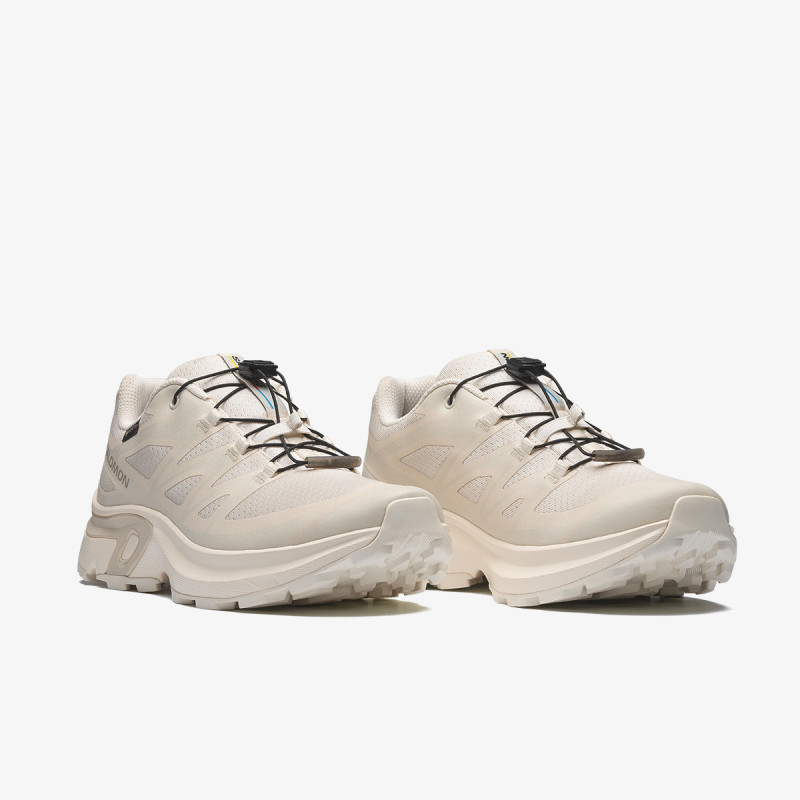 Salomon XT-EVR GTX W 