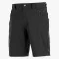Salomon M WAYFARER LT SHORT SALOM 