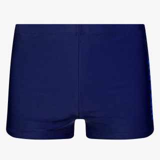 Nike JDI AQUASHORT 